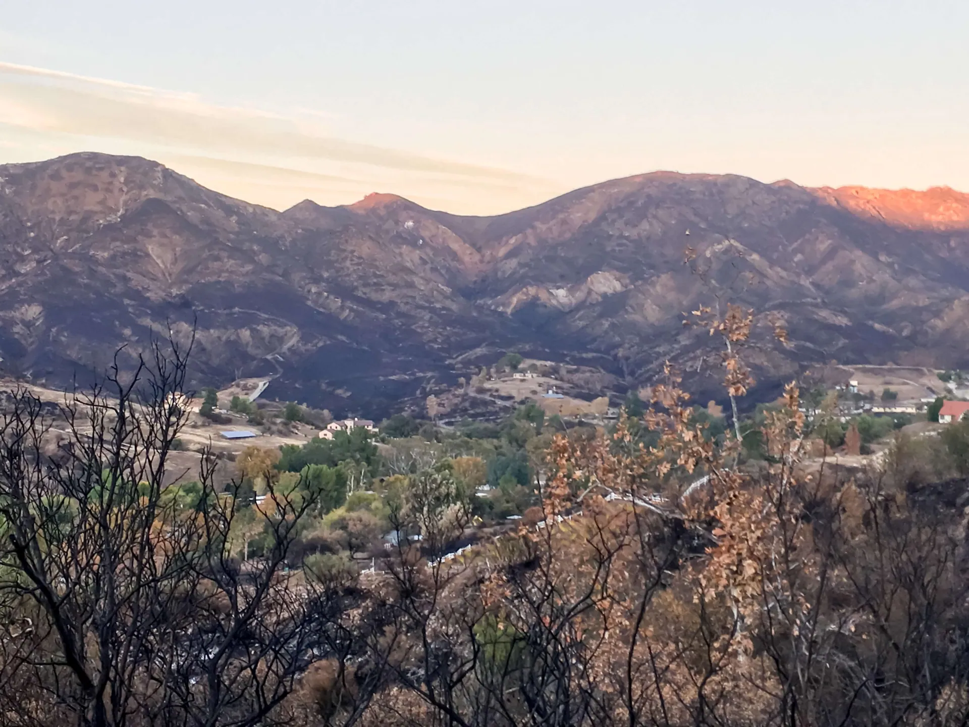 California Insurance Market