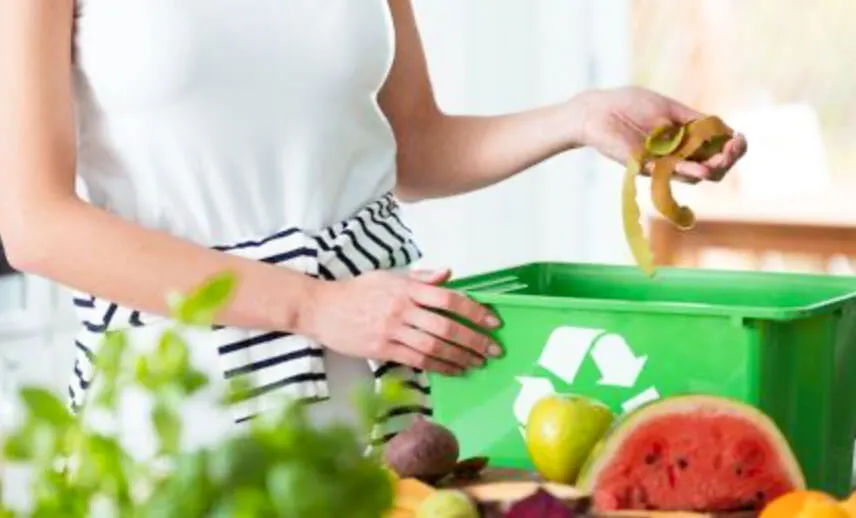 Food Waste Recycling