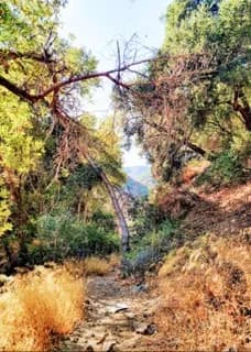 Hazardous Hiking Areas Open