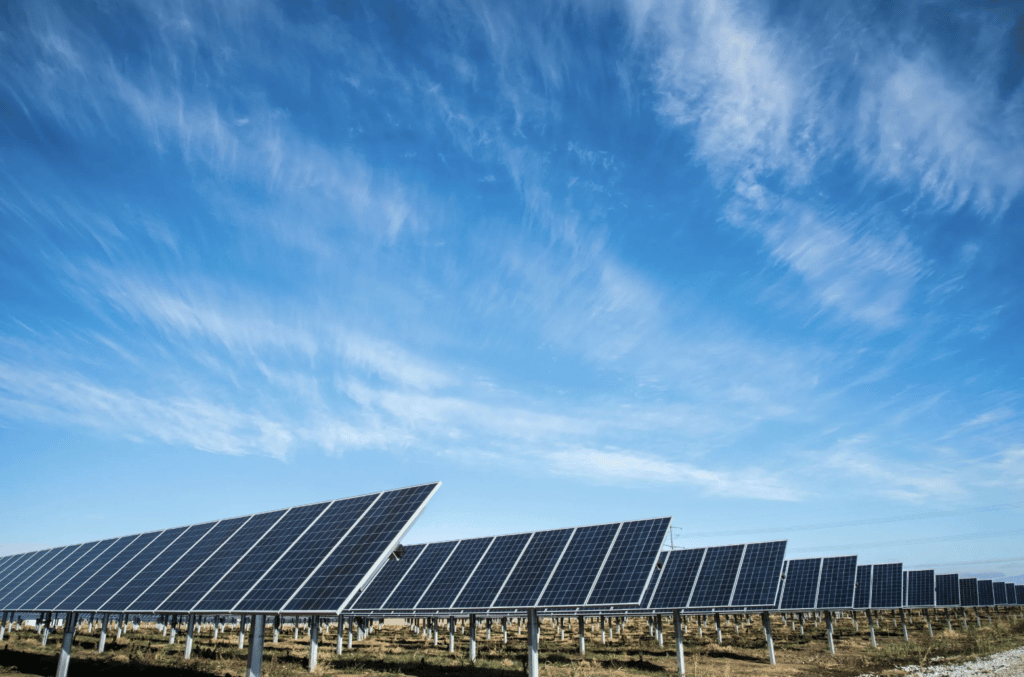 A field of solar panels