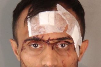 Ronald Vikash Chand Attempted Murder Gym Patron