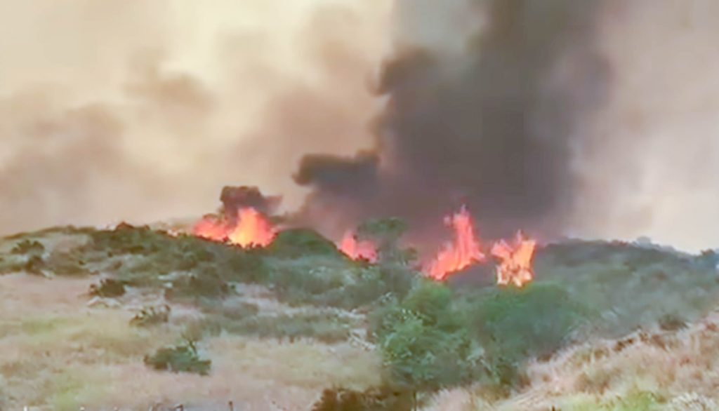 Blistering heat The Rabbit Fire in Lakeview has been fueled by high grass. CalFire