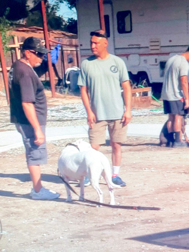 Trainer John Flores works on off-leash exercises with Rafael Mendoza, left, and his dog Maya. Credit: Photo by Don Ray