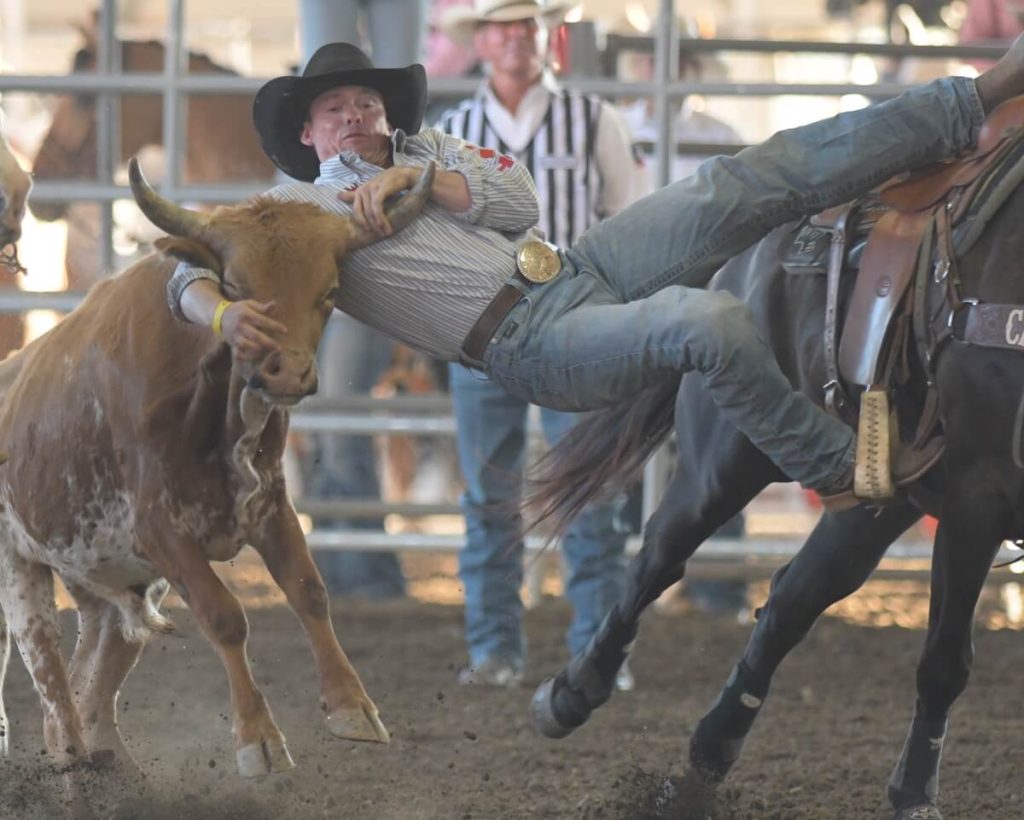 With a foot in the stirrup and his hands on the horns, Tucker Allen, of Oak View, CA, competes the steer wrestling event Sunday at the 37th Norco Mounted Posse PRCA rodeo in the George Ingalls Equestrian Event Center.
Credit: Photo by Jerry Soifer
