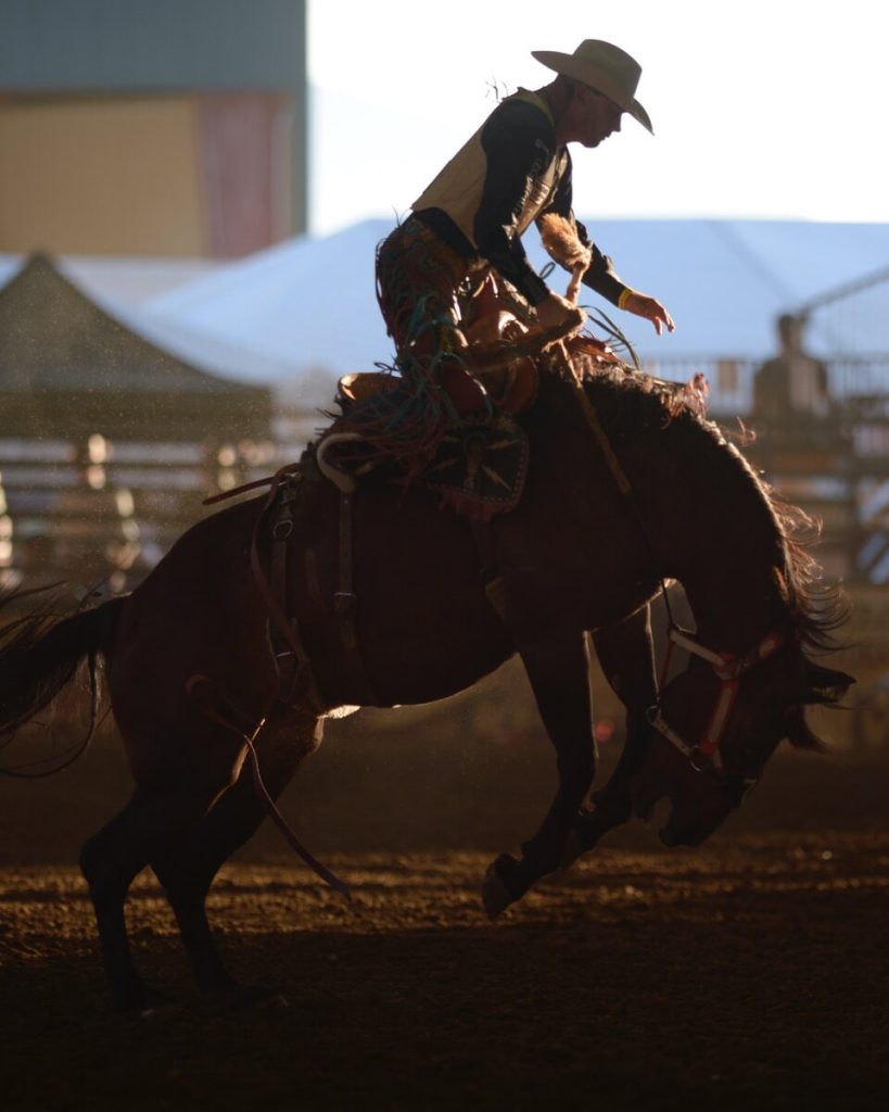 A saddle bronc rider gets a lift and then is dumped from his horse Sunday at the 37th Norco Mounted Posse PRCA rodeo at the George Ingalls Equestrian Event Center. More photos on page 7
Photo by Jerry Soifer
