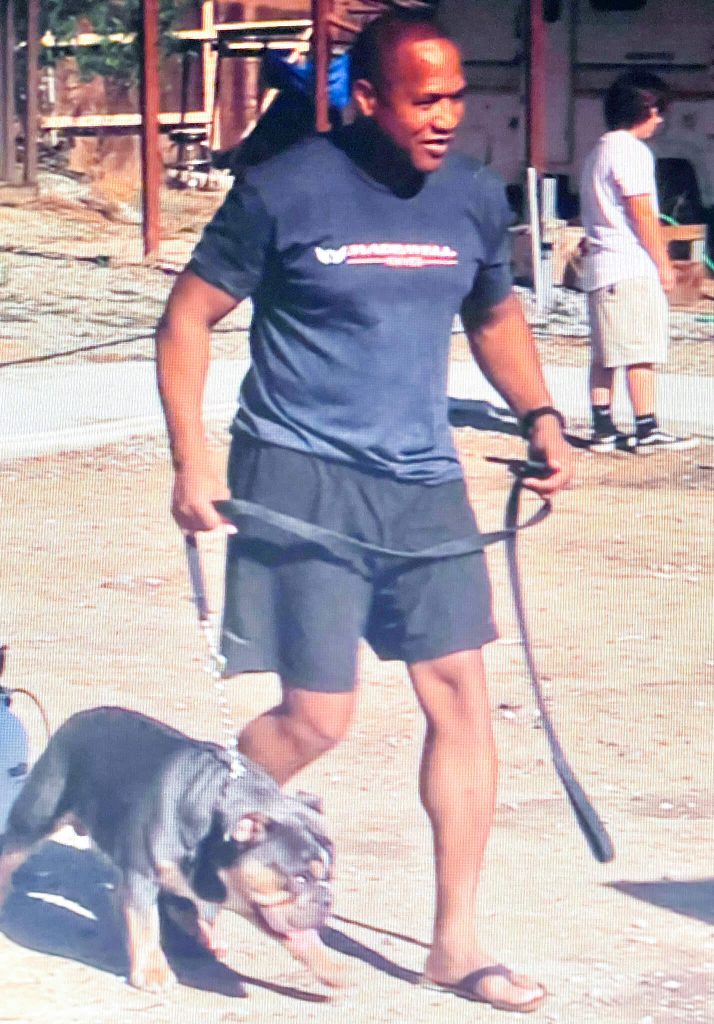 For The Love of a Pup. Tommie Patillo helps his puppy, Prince, become adjusted to the leash. Credit: Photo by Don Ray