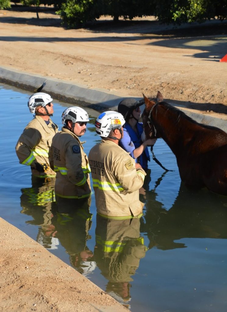 Riverside Horse Rescue