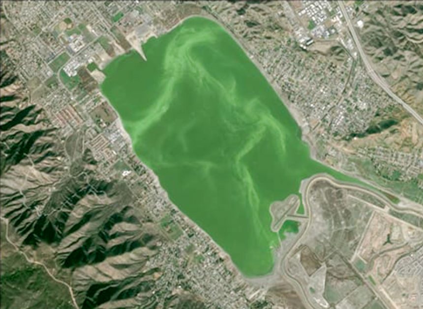 Lake Elsinore Algae