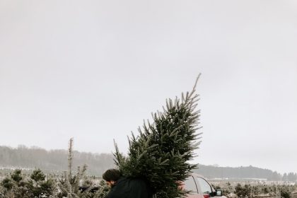 Recycle Christmas Trees