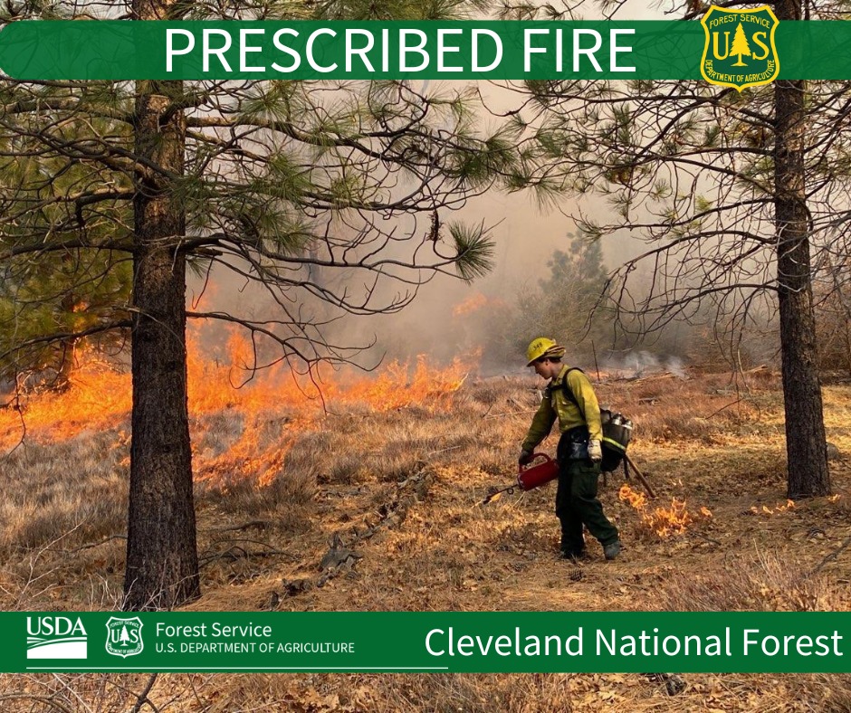 Controlled Burn in Cleveland National Forest