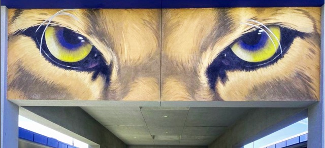 : Peer into the cougars’ eyes. Trinidad Rivera’s favorite mural at Norco High School that he painted freehand, building confidence in himself as a complete artist.
Credit: @bossgraphicsmurals Instagram
