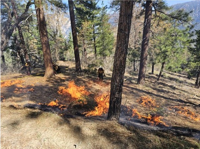 Prescribed Burn. Wildland firefighters of the San Bernardino National Forest start a prescribed fire and lay hose around the fire perimeter near Angelus Oaks, Calif., May 3. Credit: USDA Forest Service photo by Justin Grunewald