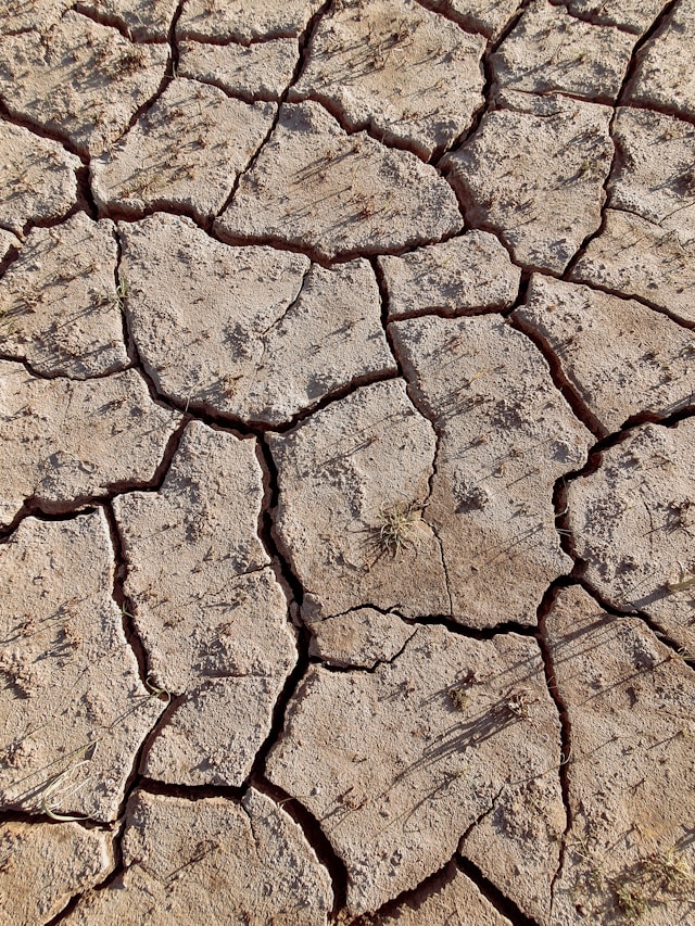 Searing Hot Weather. Photo by José Ignacio Pompé on Unsplash