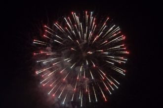 Independence Day fireworks light up Santana Regional Park on July 4th.