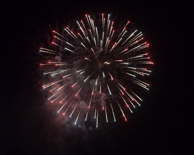 Independence Day fireworks light up Santana Regional Park on July 4th.