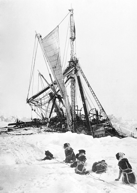 Royal Geographical Society . August 30. Caption: Dogs near Endurance before it sinks to the bottom of the Weddell Sea.