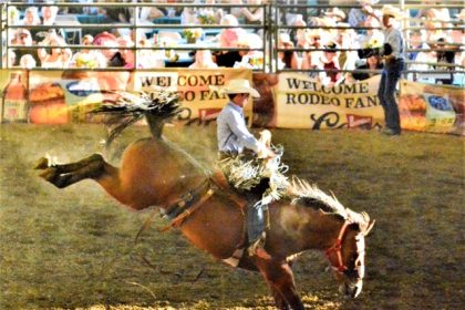 Norco Rodeo Returns. Norco Mounted Posse-Professional Rodeo Cowboys' Association Rodeo. Norco Rodeo. Will Reynolds during his bronc ride at the 2023 Norco Mounted Posse PRCA Rodeo at the George Ingalls Equestrian Event Center. The 2024 rodeo begins next Friday, August 23. Credit: Photo by Gary Evans