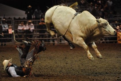 Norco Rodeo Returns. There will be no comfortable rides when the Norco Mounted Posse PRCA rodeo returns this weekend.