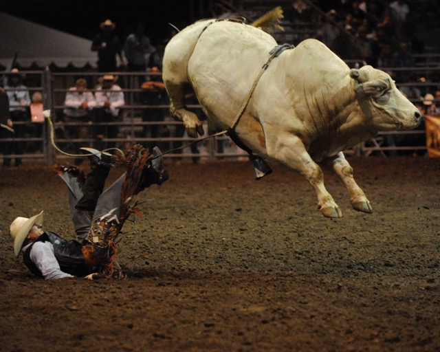 Norco Rodeo Returns. There will be no comfortable rides when the Norco Mounted Posse PRCA rodeo returns this weekend.