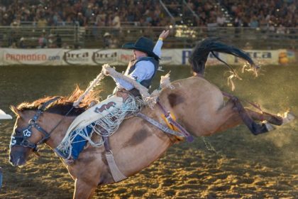 Tucker Bourdet, of Hollister, CA, rides a saddle bronc named "Miss Nancy'" to victory on Sunday, the final day of the 38th Norco Mounted Posse PRCA Rodeo at the George Ingalls Equestrian Event Center in that city. Bourdet took home $2,496 in prize money. Photo by Jerry Soifer