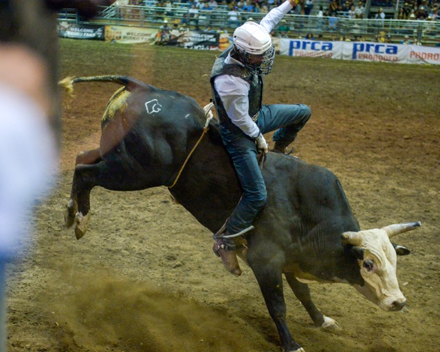 Maverick Smith, of Mountain Grove, MO, takes a spin on "Wild Wings." Smith finished 3rd in the bull riding competition, earning $3,416.
Credit: Photo by Jerry Soifer
