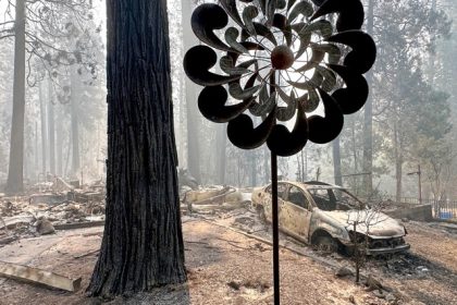 The Strange Ways That Californians Ignite Wildfires. Property damaged by the Park Fire in the Cohasset community of Butte County on July 28, 2024. Photo by Eugene Garcia, AP Photo