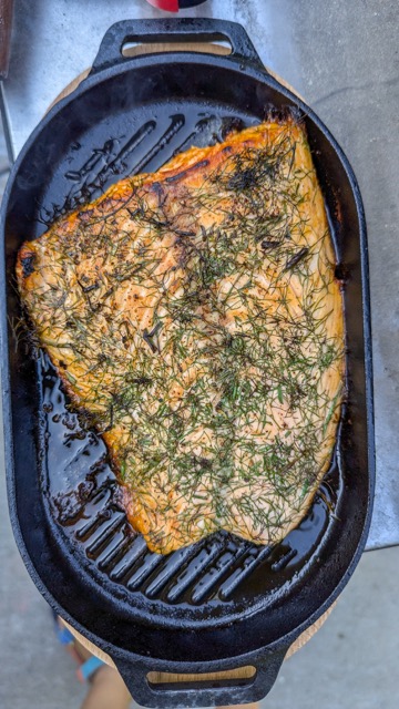 Pizza Oven Cast Iron Salmon