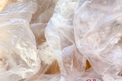 Banning Plastic Grocery Bags