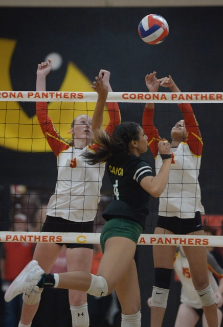 Features Photos 11-15-24. Corona volleyball players Brianna Reyna and Hannah Coffee battle Canyon Country Canyon's Olivia Turner Saturday in the CIF DIv. 5 championship game at Corona. The Panthers won, 3-2. Photo by Jerry Soifer