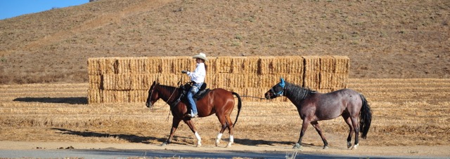 Continued mild weather drew Sunday visitors to the 1500 scenic acres and 25 miles of hiking and equestrian trails at the Hidden Valley Nature Center. Credit: Photo by Jerry Soifer