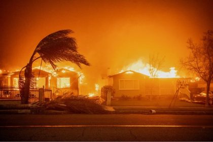 The LA fires will have a huge impact on the state's insurance market, experts said. Trees sway in high winds as the Eaton Fire burns structures in Altadena on Jan. 8, 2025.  Credit: Photo by Ethan Swope, AP Photo