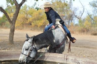 Dana Rivera, 10, and his horse take a Christmas Day water break at a trough at the Hidden Valley Wildlife Area.