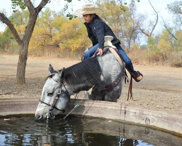 Dana Rivera, 10, and his horse take a Christmas Day water break at a trough at the Hidden Valley Wildlife Area.