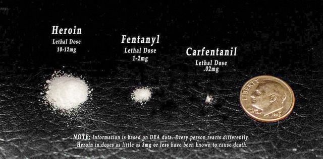 Lethal Fentanyl