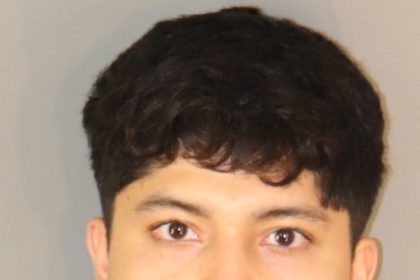 Sexual Assaults of Minors. Bryan Josue Flores Valdez