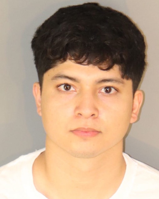 Sexual Assaults of Minors. Bryan Josue Flores Valdez