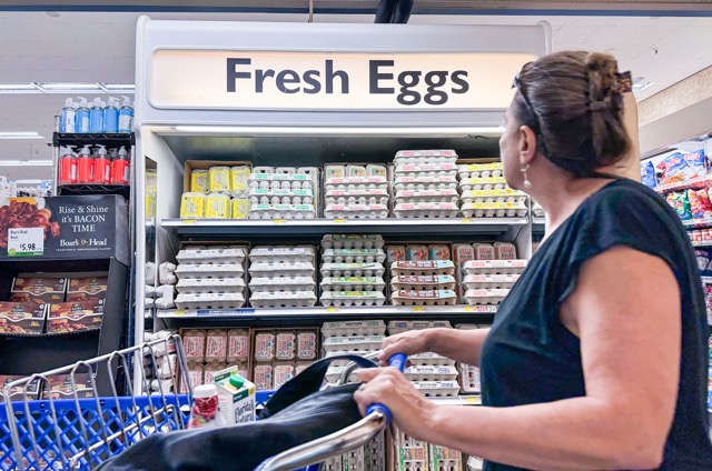 More Affordable. A customer walks by a display of fresh eggs at a grocery store in the San Anselmo area of Marin County on Sept. 25, 2024. Egg prices surged last year, largely due to avian influenza (HPAI), also known as bird flu. 