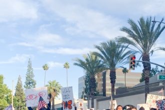 No Kings. Protest Trump