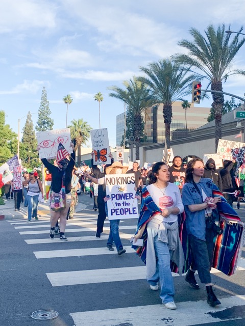 No Kings. Protest Trump