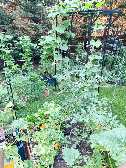 Tiny Garden. Jessica Damiano