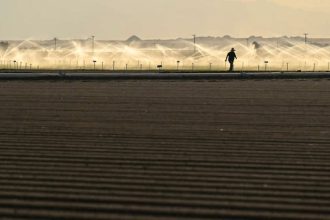 Inland heat soars. A farmer walks back to his truck after starting the irrigation in a field in Brawley on Dec. 29, 2022.  Credit: Photo by RJ Sangosti, MediaNews Group/The Denver Post via Getty Images
