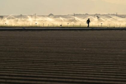 Inland heat soars. A farmer walks back to his truck after starting the irrigation in a field in Brawley on Dec. 29, 2022.  Credit: Photo by RJ Sangosti, MediaNews Group/The Denver Post via Getty Images