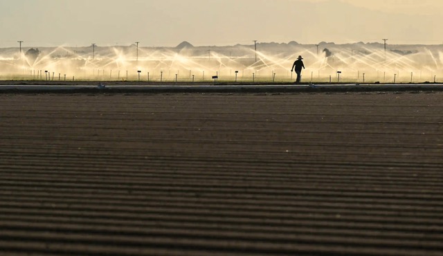 Inland heat soars. A farmer walks back to his truck after starting the irrigation in a field in Brawley on Dec. 29, 2022.  Credit: Photo by RJ Sangosti, MediaNews Group/The Denver Post via Getty Images