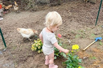 This 2025 image provided by Jessica Martin shows a toddler learning to tend plant in an Islip Terrace, New York, garden. Jessica Martin via AP