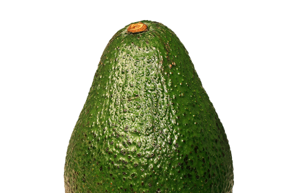 Avocado Ponzi Scheme. Ponzi Swindle