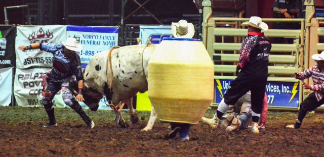 Bullfighter Cole Bates (left) gets grazed by the bull after rider Jesse Flores had bailed off. Bates twisted out of harm’s way while rodeo clowns watched. Credit: Photo by Gary Evans