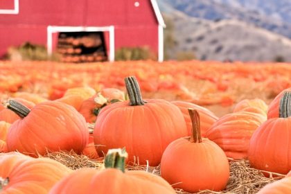 Frightening Fall Festivities