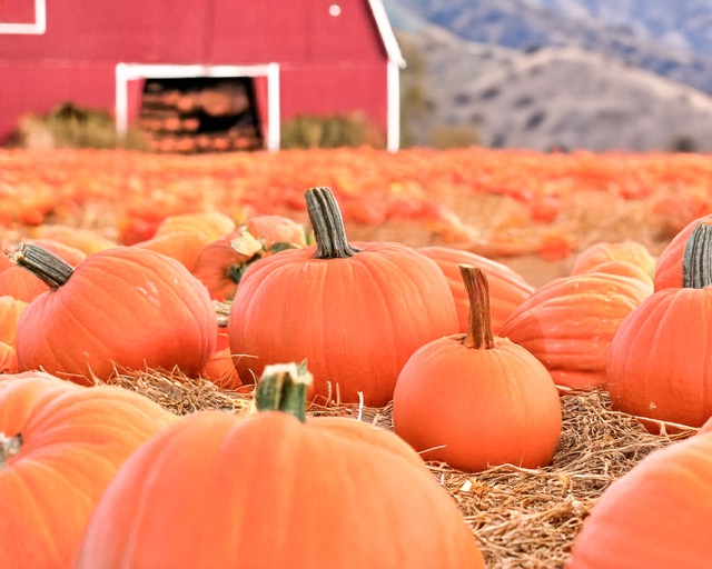 Frightening Fall Festivities