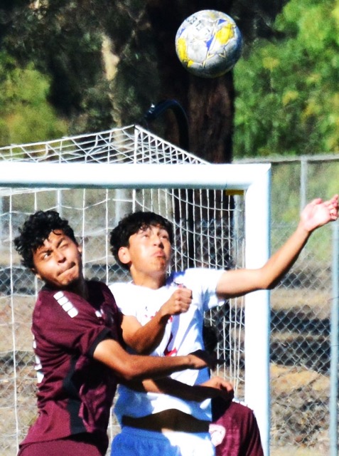 Norco College’s Tommy Castaneda (left) watches Chaffey’s Julio Martinez (right) get the touch on the ball. The Mustangs defeated the Panthers 2 - 1.