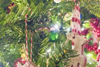 Homemade Tree Ornaments